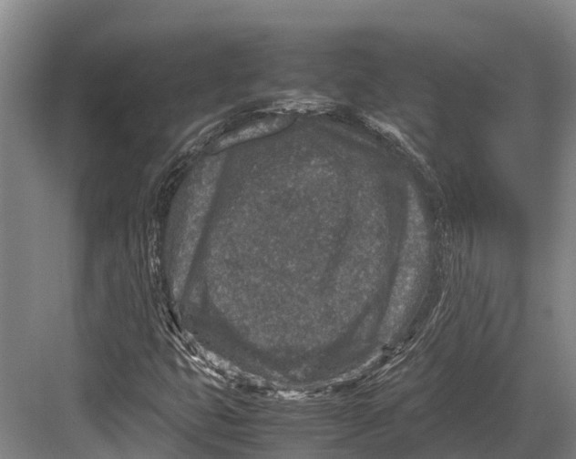 X0000082721399200702161829