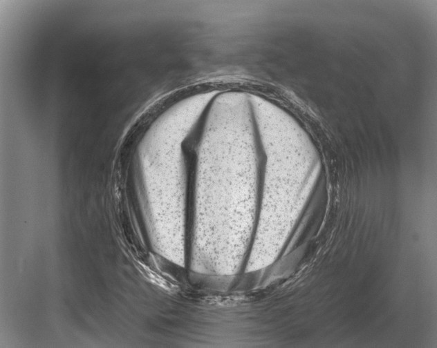 X0000082721400200702161829