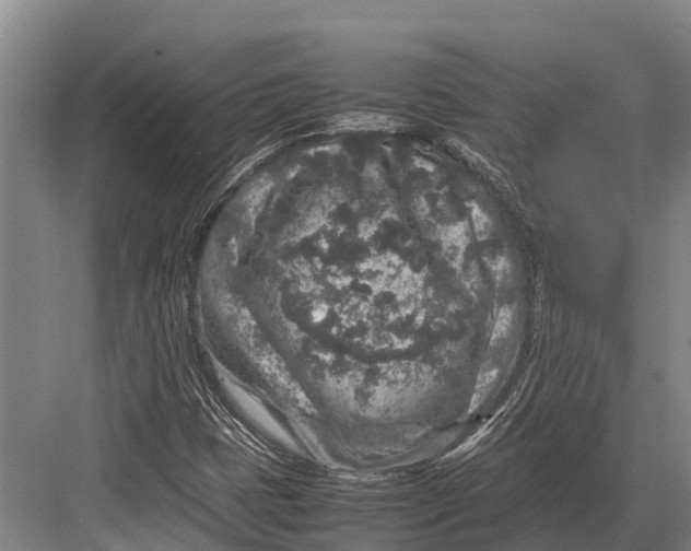 X0000082721401200702161829