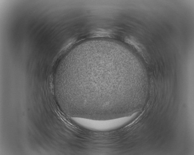 X0000082721403200702161829