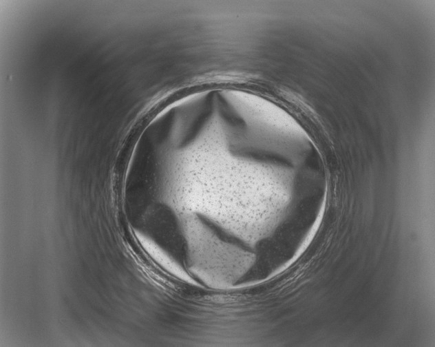 X0000082721404200702161829