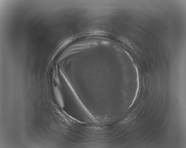 X0000082721405200702161829