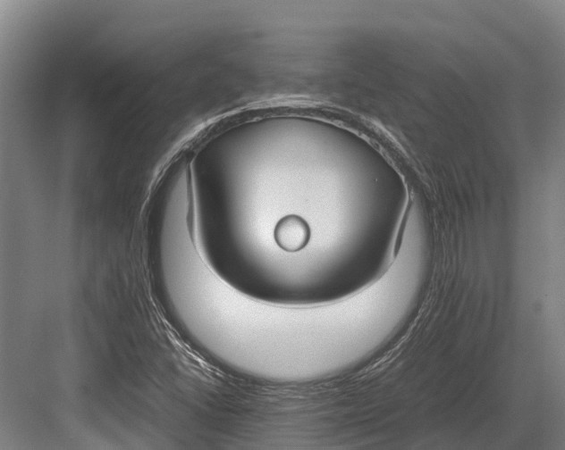 X0000082721406200702161829