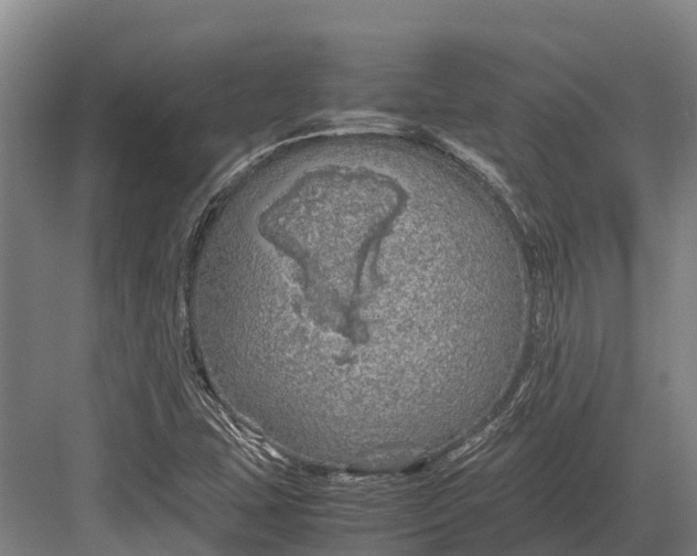 X0000082721407200702161829