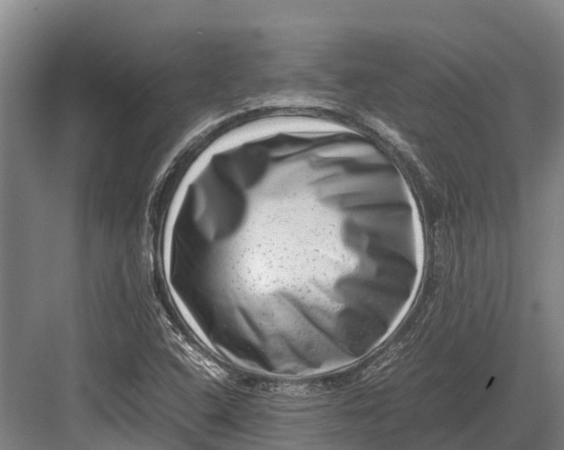 X0000082721408200702161829