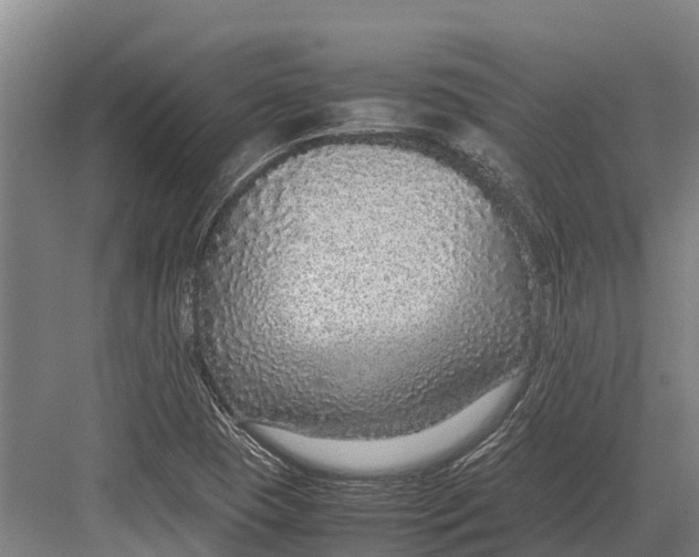 X0000082721409200702161829