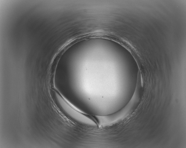 X0000082721410200702161829