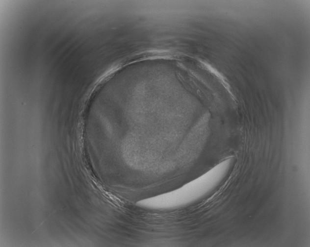 X0000082721411200702161829