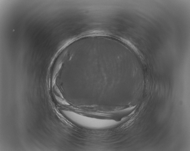 X0000082721413200702161829