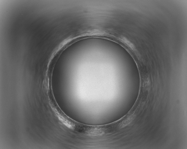 X0000082721414200702161829