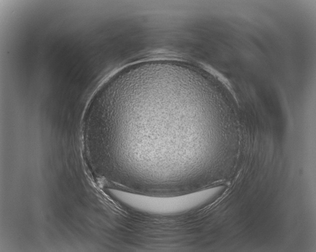 X0000082721415200702161829