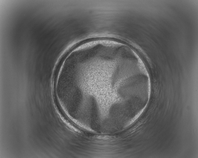 X0000082721416200702161829