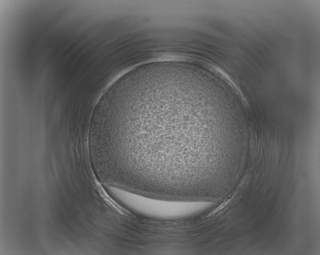 X0000082721417200702161829