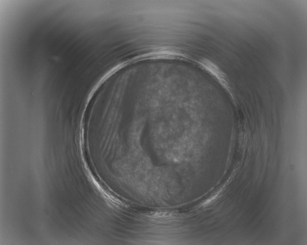 X0000082721418200702161829