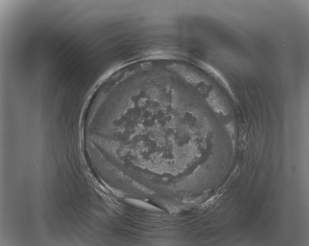 X0000082721419200702161830