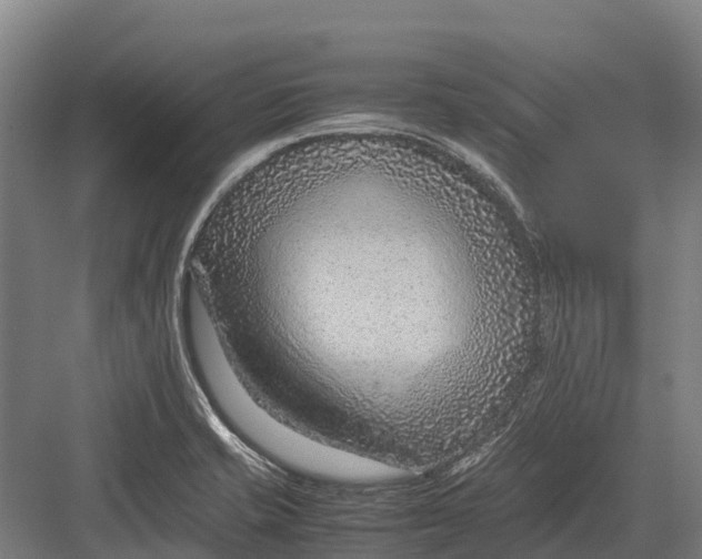 X0000082721421200702161830