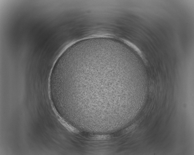 X0000082721423200702161830