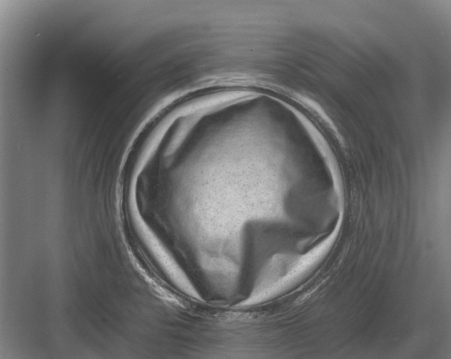 X0000082721424200702161830