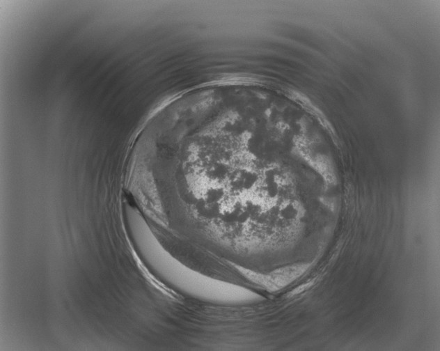 X0000082721425200702161830