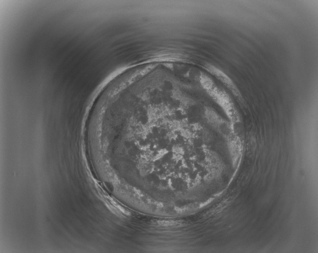 X0000082721427200702161830