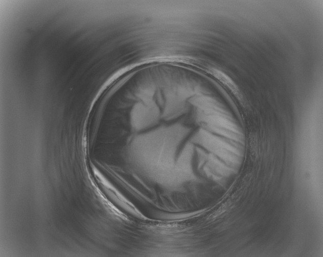 X0000082721428200702161830