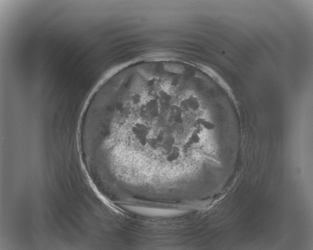 X0000082721429200702161830