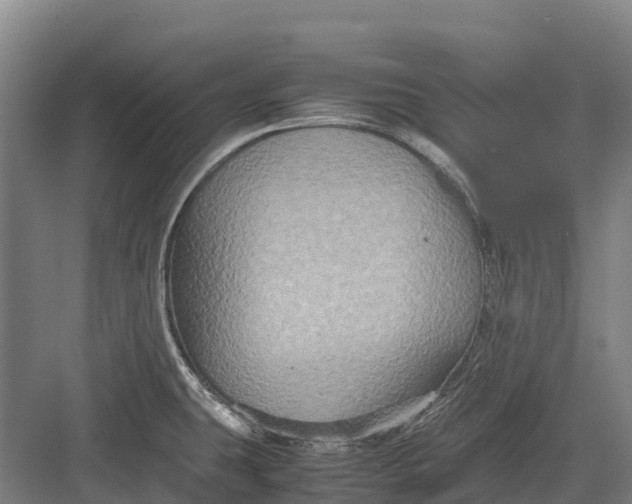 X0000082721431200702161830