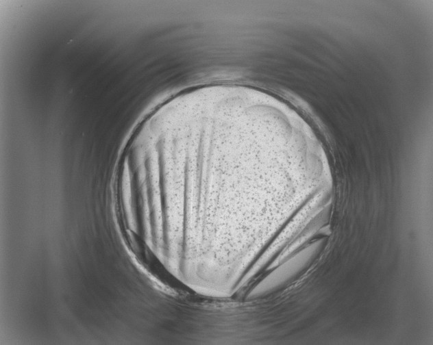 X0000082721432200702161830