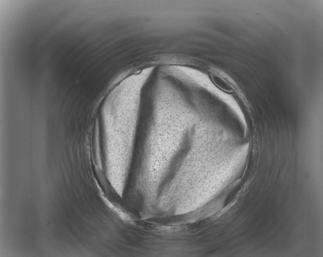 X0000082721433200702161830