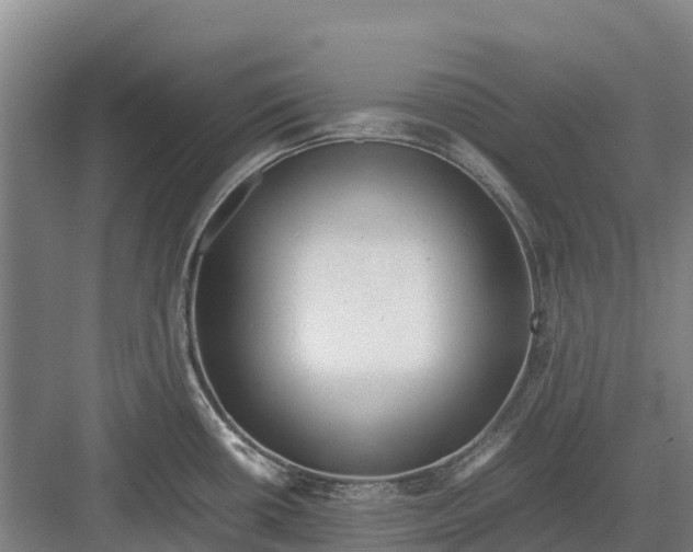 X0000082721434200702161830