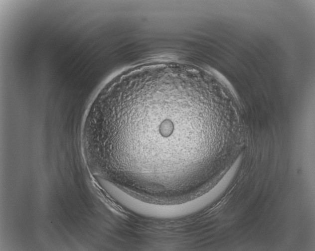 X0000082721435200702161830