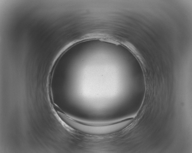 X0000082721438200702161830