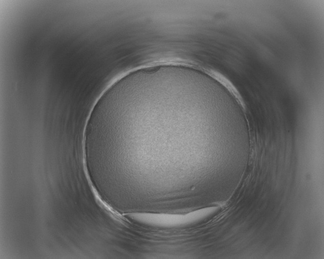 X0000082721439200702161830