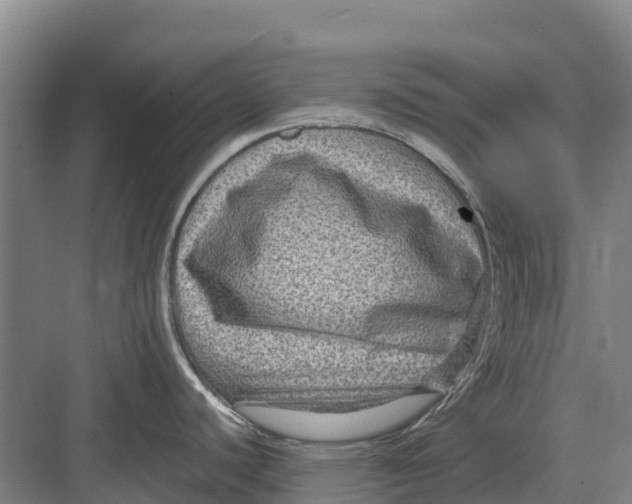 X0000082721440200702161830