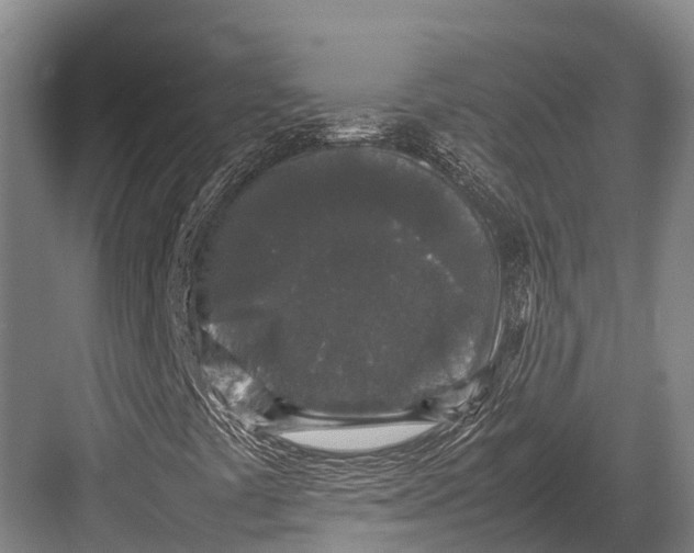 X0000082721441200702161829