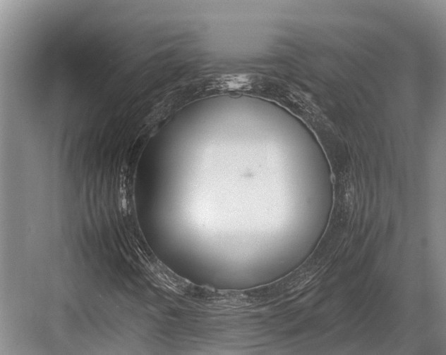 X0000082721442200702161829