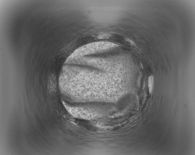 X0000082721443200702161829