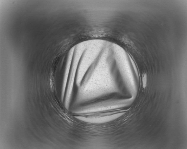 X0000082721444200702161829