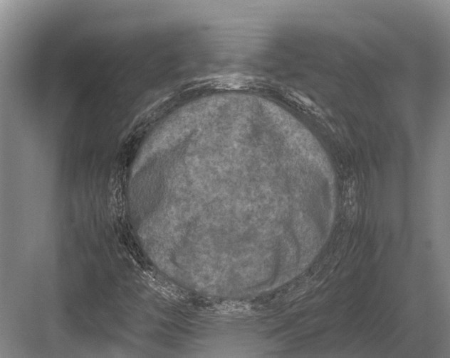 X0000082721446200702161829