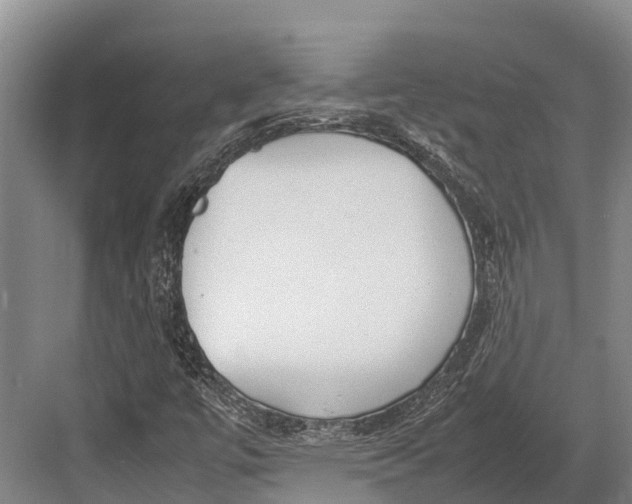 X0000082721447200702161829