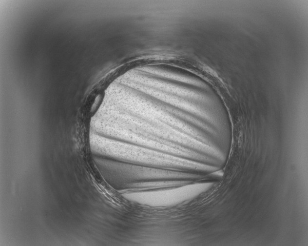 X0000082721448200702161829