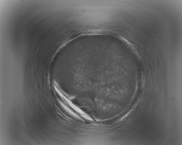 X0000082721449200702161829