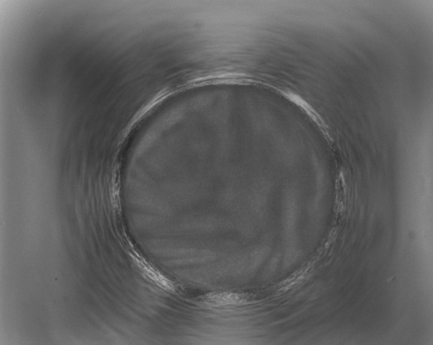 X0000082721450200702161829