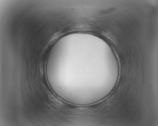 X0000082721451200702161829