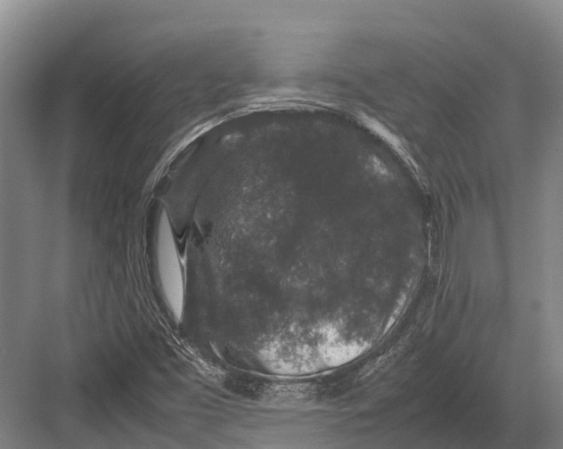 X0000082721453200702161829