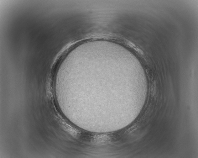 X0000082721454200702161829