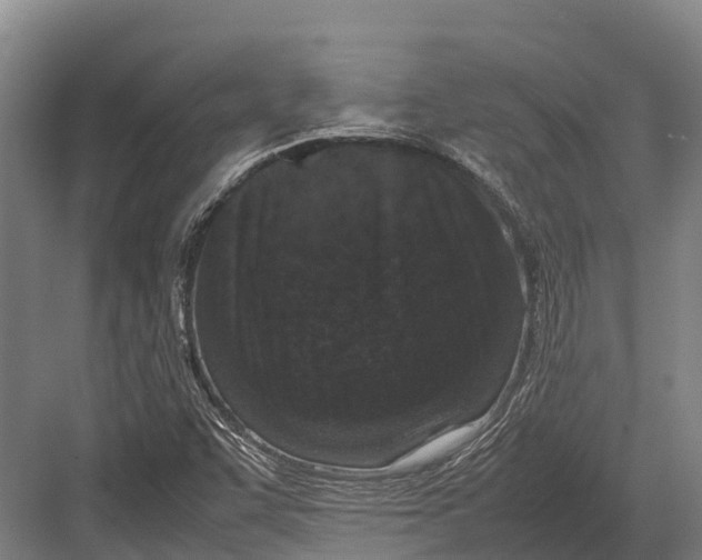 X0000082721455200702161829