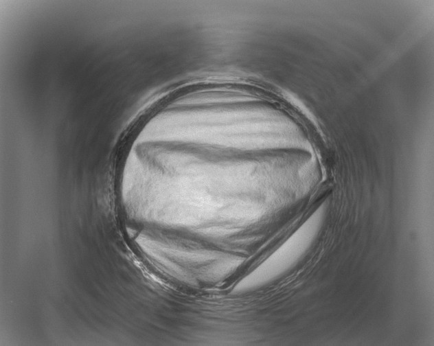 X0000082721456200702161829