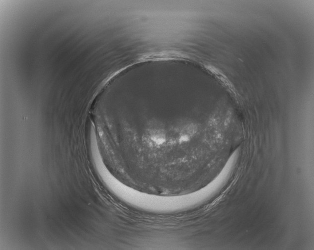 X0000082721457200702161829