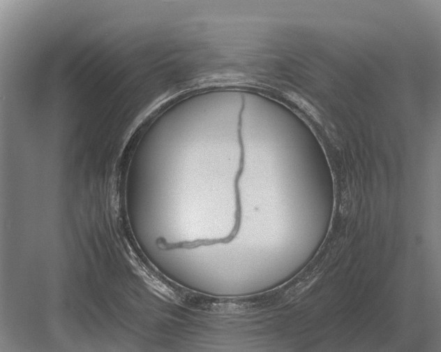 X0000082721458200702161829